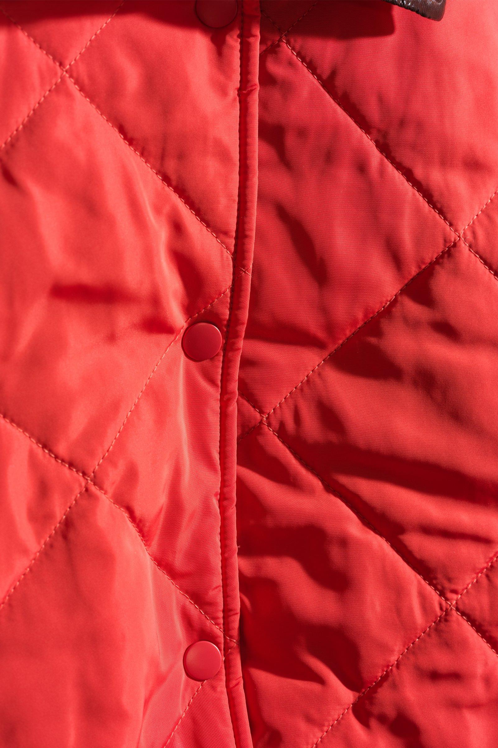 CKS - COLDE - veste courte - brun fonc&eacute;