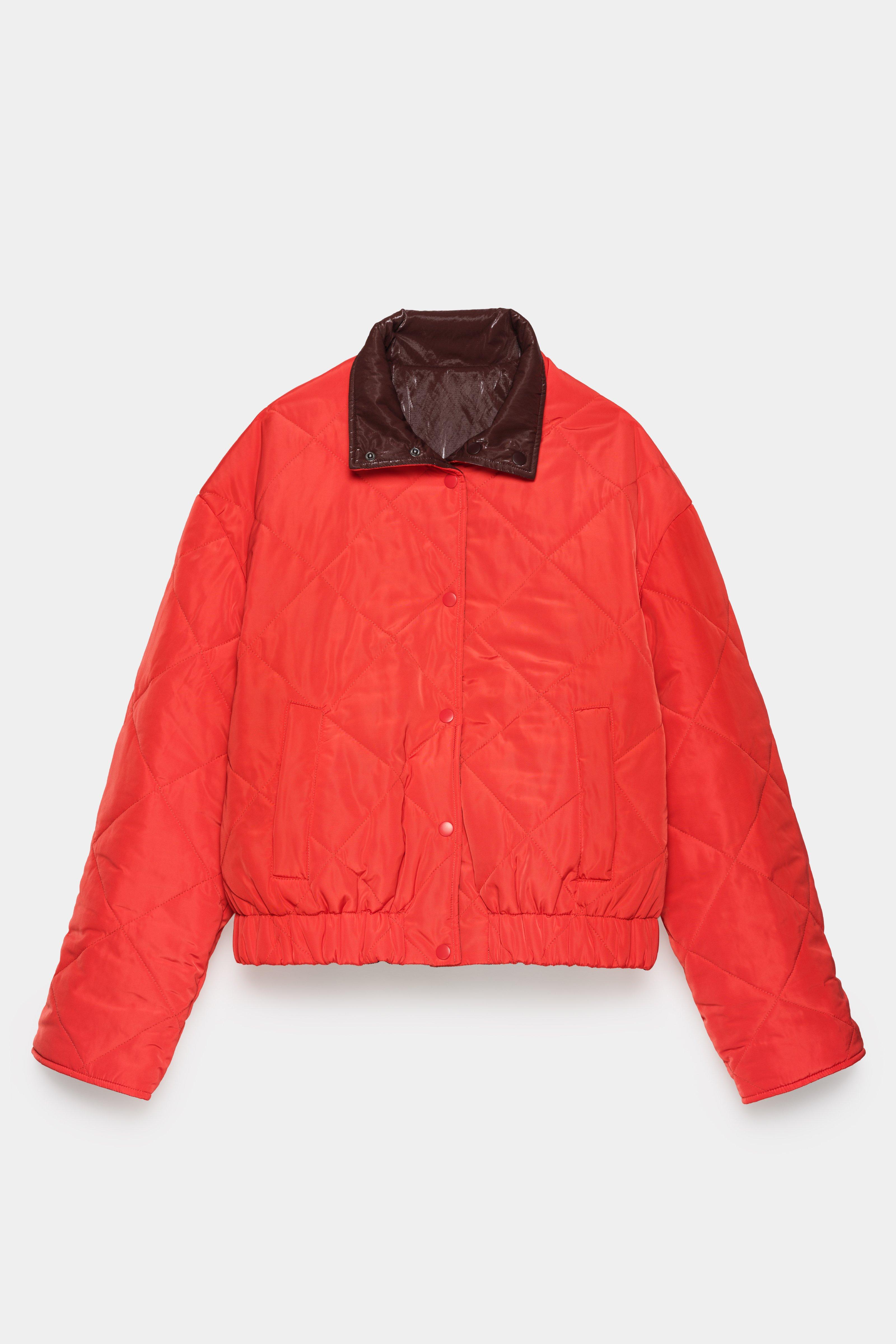 CKS - COLDE - veste courte - brun fonc&eacute;