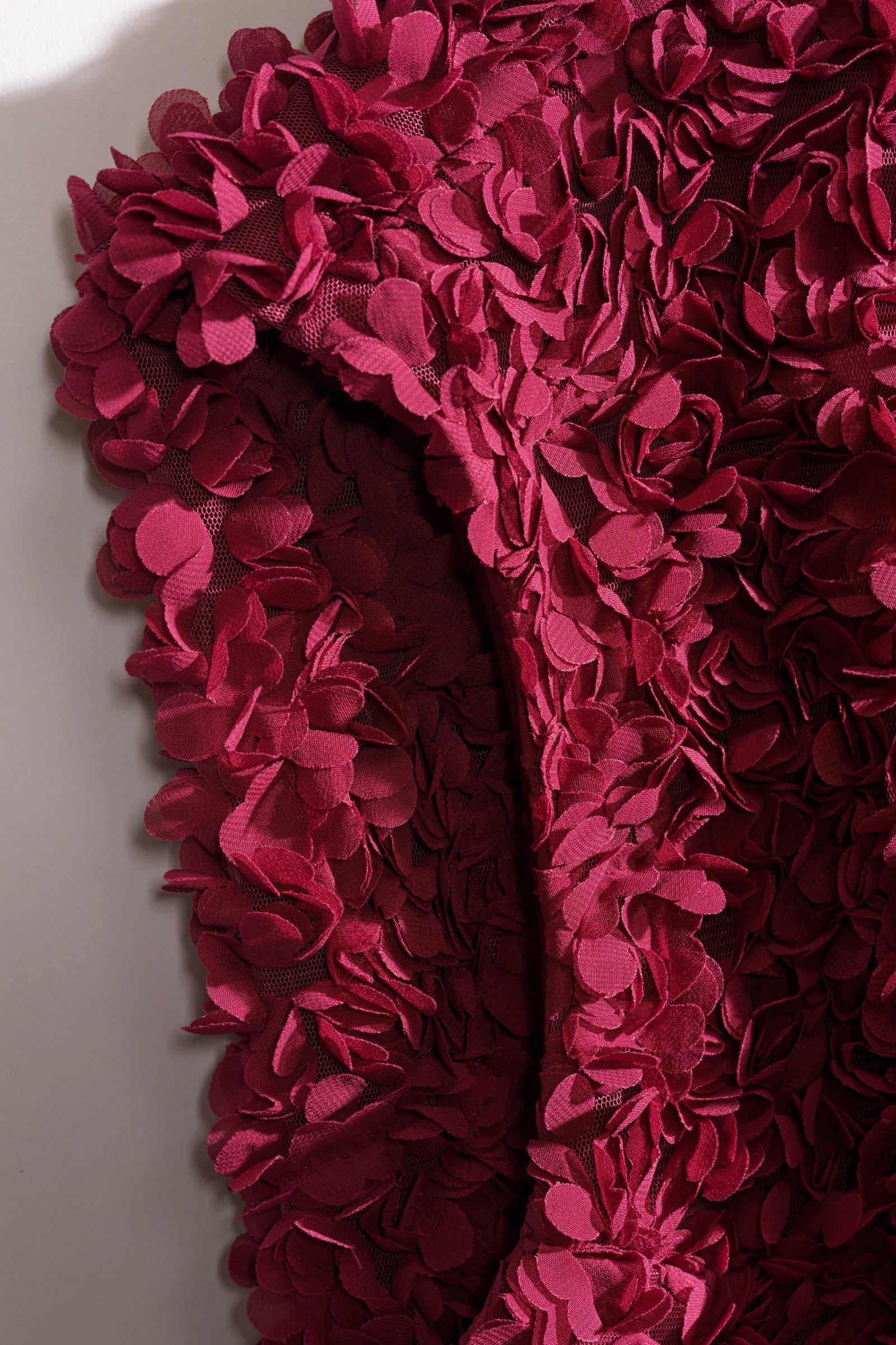 CKS - SOPA - blouse korte mouwen - donkerrood