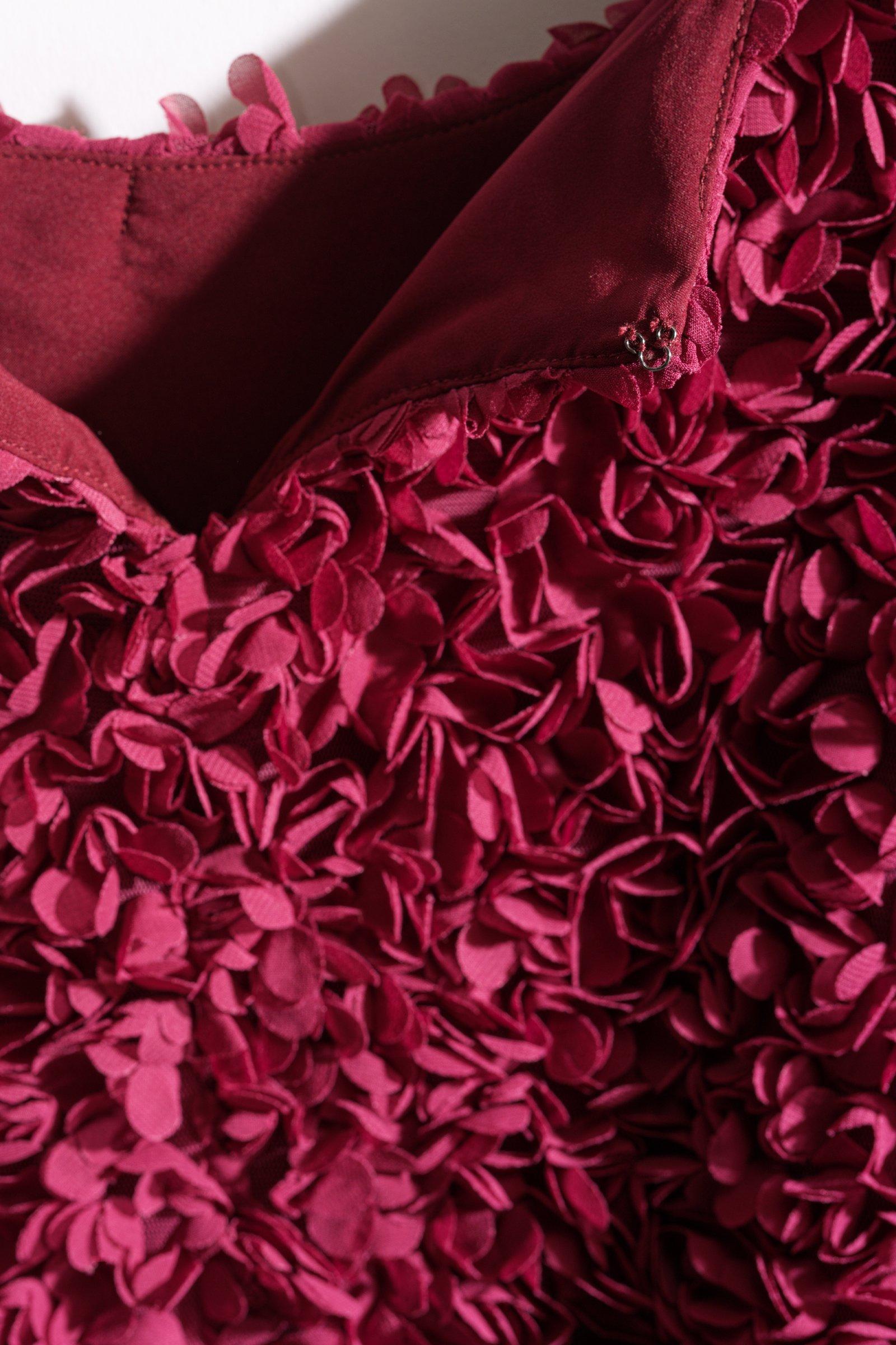 CKS - SOPA - blouse korte mouwen - donkerrood