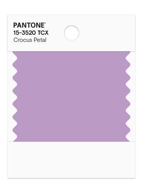 CKS WVDBM DESIGNED BY YOU CONTEST