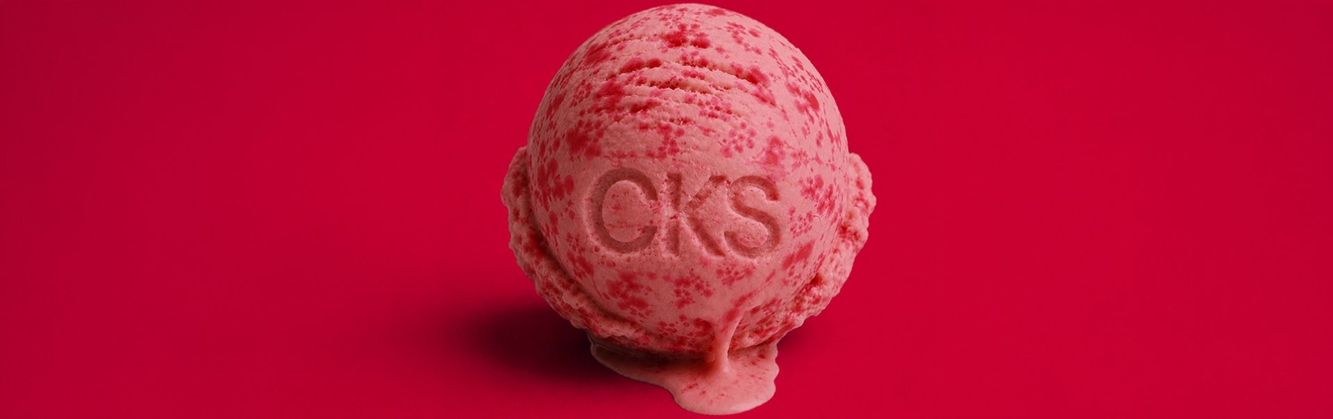 CKS EVENT IJSJES